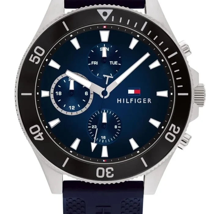 Montre Tommy Hilfiger Larson pour Homme, 1791920